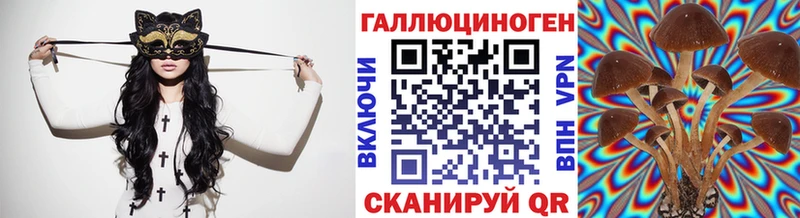 хочу наркоту Медногорск Галлюциногенные грибы Psilocybine cubensis